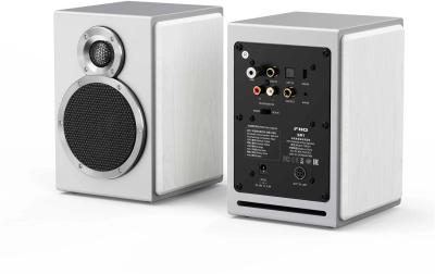 FiiO SA1 Silber/weiss