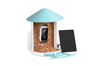 Birdfy Futterspender Basic Solar