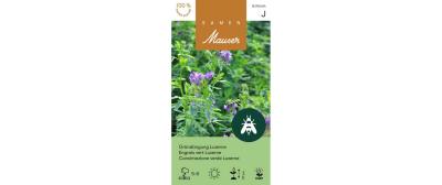 Gründüngung Luzerne 100g