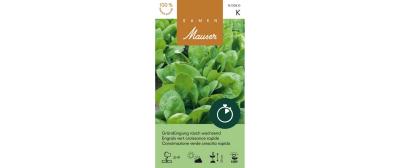 Gründüngung raschwachsend 200g