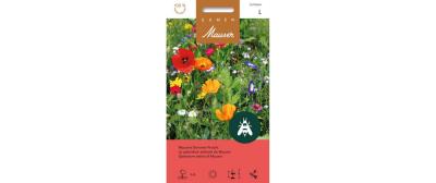 Mausers Sommer Pracht