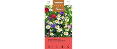 Mausers Frühsommer Pracht