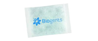 Nachfüllpackung BG Sweetscent