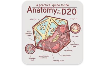 Anatomy of the D20 Sticker