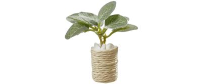 Hobbyfun Mini-Figur Zimmerpflanze