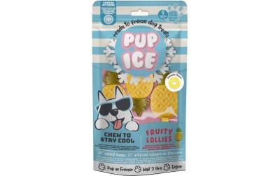 Pup Ice Fruity Lollies Ananas
