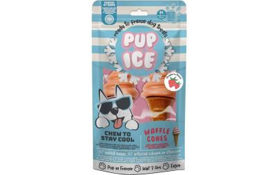 Pup Ice Waffle Cones Erdbeere
