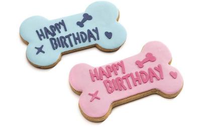 Leopet Happy Birthay Keks Knochen Gr. L