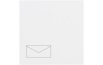 Rico Essentials DL Umschlag 100 g/m²