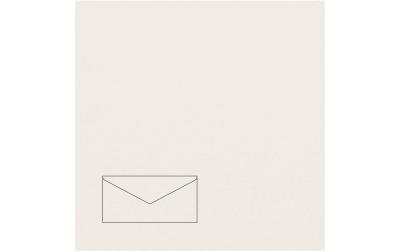 Rico Essentials DL Umschlag 100 g/m²