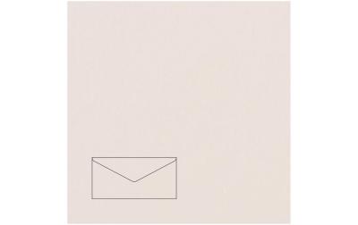 Rico Essentials DL Umschlag 100 g/m²