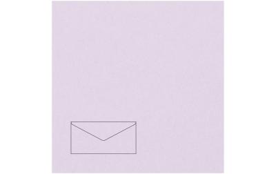 Rico Essentials DL Umschlag 100 g/m²