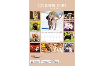 Bildkalender Welpen 2026