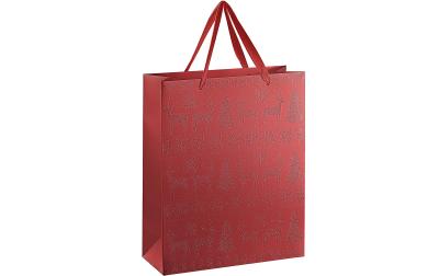 Eglo Geschenktasche Winter Isumi