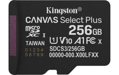 Canvas Select Plus microSDXC Card 256GB G3