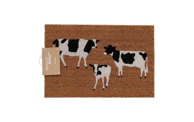 Boltze Fussmatte Moolina