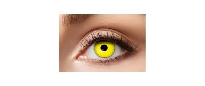 Halloween 3-Monatslinsen farbig