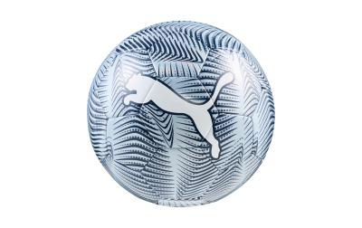 PUMA Ball PUMA FINAL Graphic