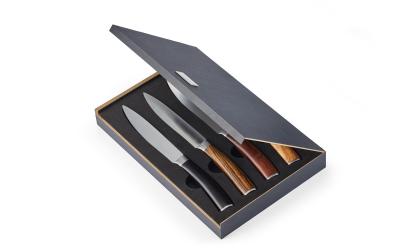 PHILIPPI Steakmesserset Garry