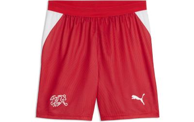 PUMA Shorts SFV Replica