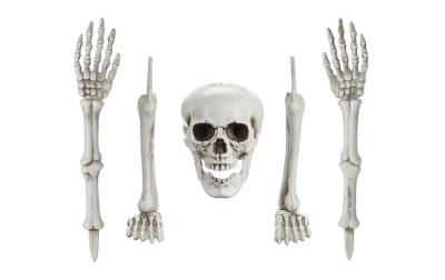 Partydeco Skelett Einzelteile