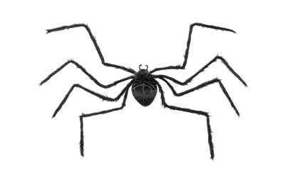 Partydeco Spinne