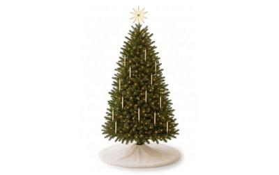 Conceptum Hypnose Weihnachtsbaumteppich