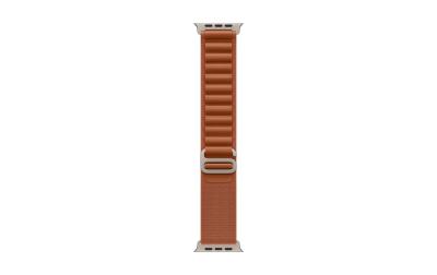Apple AlpineLoop Natural Titanium Finish