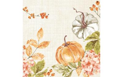Duni Servietten Bio DSF Spicy Pumpkin