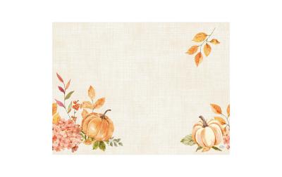 Duni Tischset Bio Dunicel Spicy Pumpkin