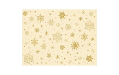 Duni Tischset Papier Stargazing Cream