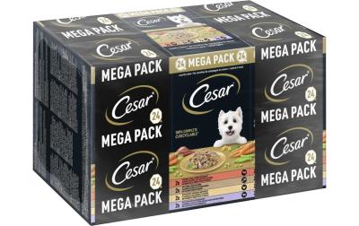 Cesar Landragout 4 Varietäten 24x150g