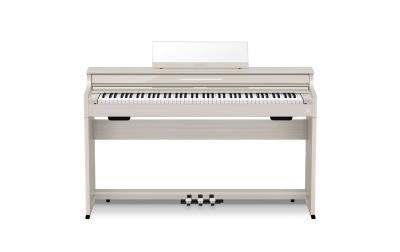 CASIO AP-S450GB