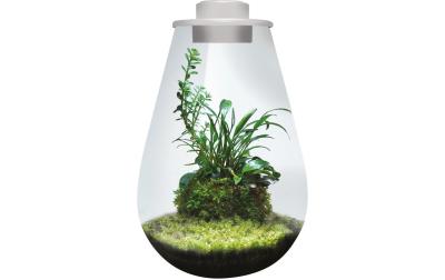 BioArt Pflanz-Terrarium Drop 285 mit LED