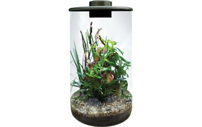 BioArt Pflanz-Terrarium Cylinder 285 mitLED