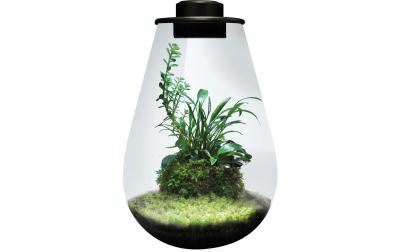 BioArt Pflanz-Terrarium Drop 285 mit LED