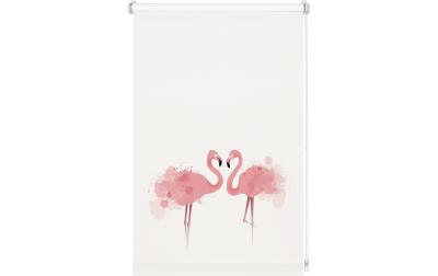 Gardinia EF Rollo Flamingo 70x150