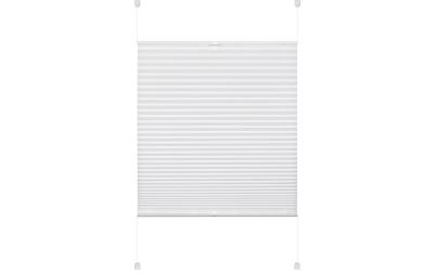 Gardinia EF Plissee Pia white 60x130