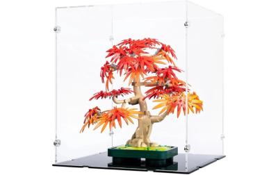 10348 Japanischer Roter Ahorn