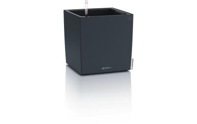 CUBE Color 30