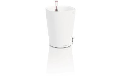 DELTINI