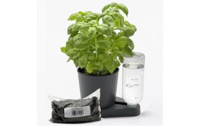 Kräuterheld+1l Pflanzgranulat bio-anthrazit