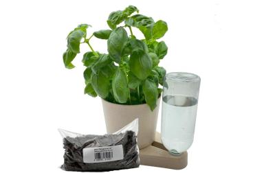 Kräuterheld+1l Pflanzgranulat bio-greige