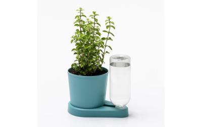 Kräuterheld,türkis