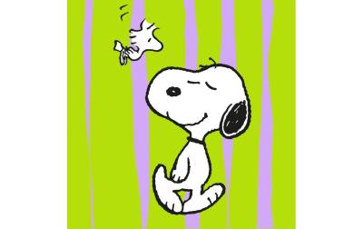 B+C Servietten Pop Snoopy grün