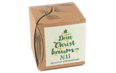 Anzucht Dein Christbaum 2033