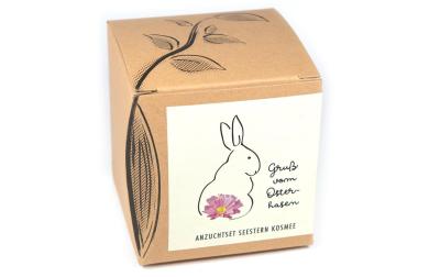 Anzucht Gruss vom Osterhasen