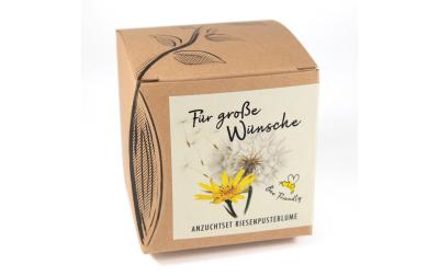 Anzucht Für grosse Wünsche