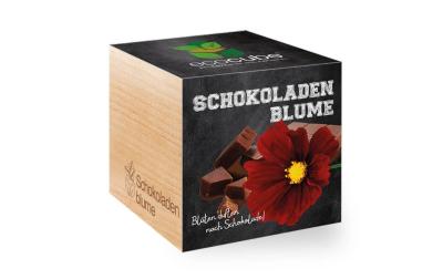 Schokoladenblume