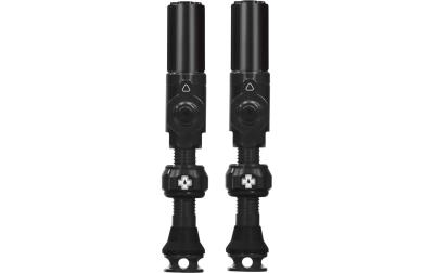 Tubeless Valves Big Bore Hybrid